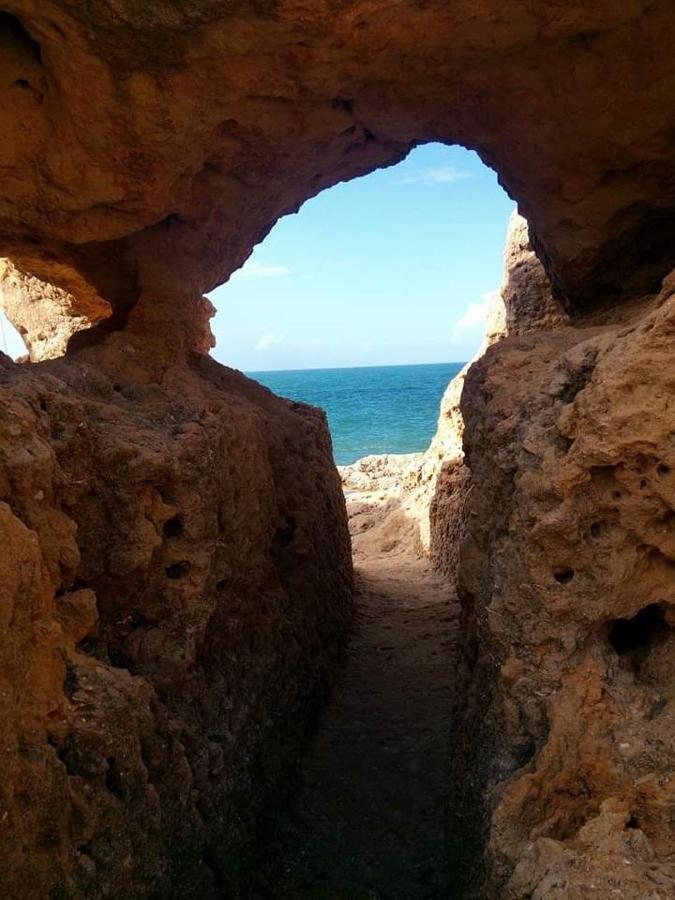 Al Algarve - Alojamento local com excelente localização Carvoeiro (Lagoa) Exterior foto