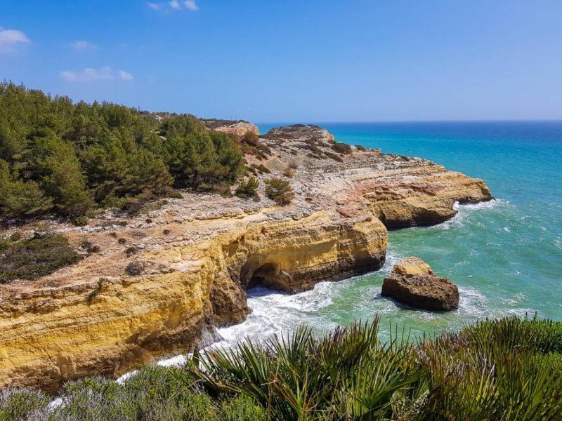 Al Algarve - Alojamento local com excelente localização Carvoeiro (Lagoa) Exterior foto